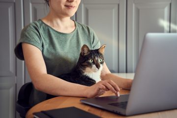 Woman working with cat on lap.